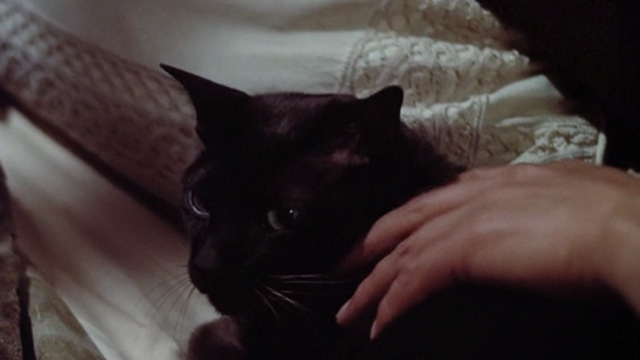 Scorpio - black cat lying on bed