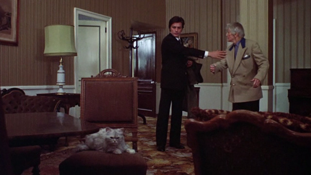 Scorpio - Laurier Alain Delon spotting silver long-haired cat