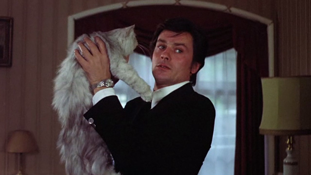 Scorpio - Laurier Alain Delon holding up silver long-haired cat