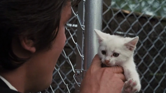 Scorpio - Laurier Alain Delon holding up white kitten Sun Tzu