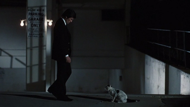 Scorpio - Laurier Alain Delon looking down at black and white cat