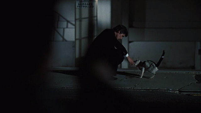 Scorpio - Laurier Alain Delon petting black and white cat