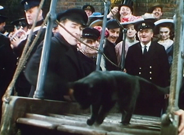 Scott of the Antarctic - black cat Puss walking up gangplank