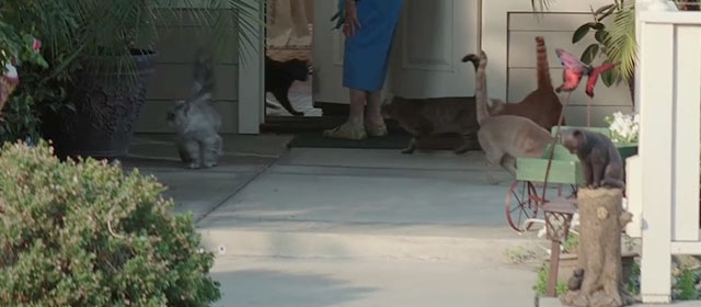 Scouts Guide to the Zombie Apolcalypse - numerous cats coming out of Miss Fielder's house