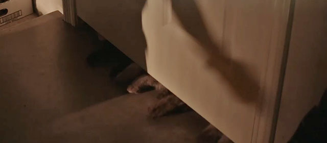 Scouts Guide to the Zombie Apolcalypse - zombie cat paws reaching under door