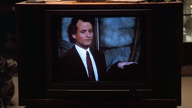 Scrooged - tabby cat looking at Frank Bill Murray on television