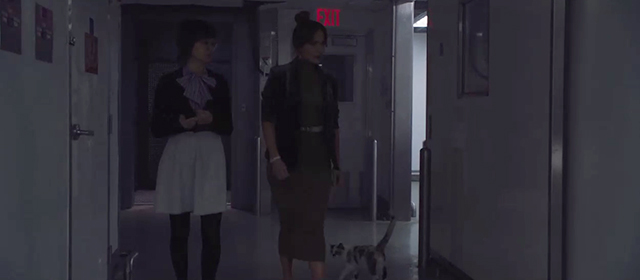 Second Act - calico cat in hallway behind Maya Jennifer Lopez and Ariana Charlyne Yi