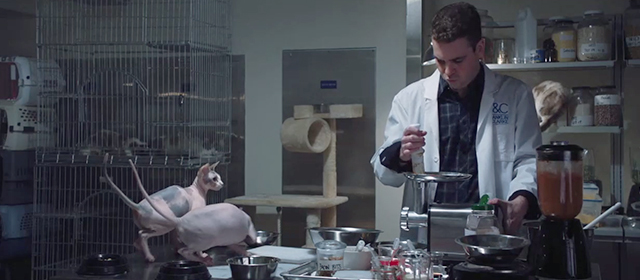 Second Act - Ron Freddie Stroma in testing room with numerous cats