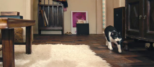 The Secret Agent - two faced tuxedo Janus cat Liza Elis entering room
