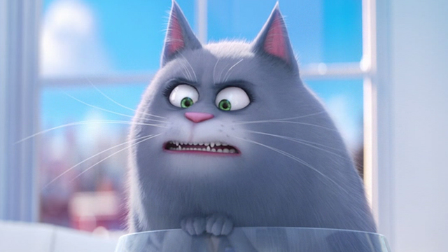 The Secret Life Of Pets 2016 Cinema Cats The Secret Life Of Pets 2016 Cinema Cats