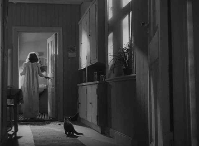 Secrets of Women - small dark kitten in hallway watching Marta Maj-Britt Nilsson walk into other room