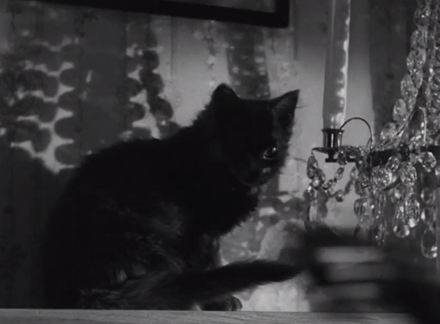 Secrets of Women - small dark kitten on mantel as hand reaches to hang up phone