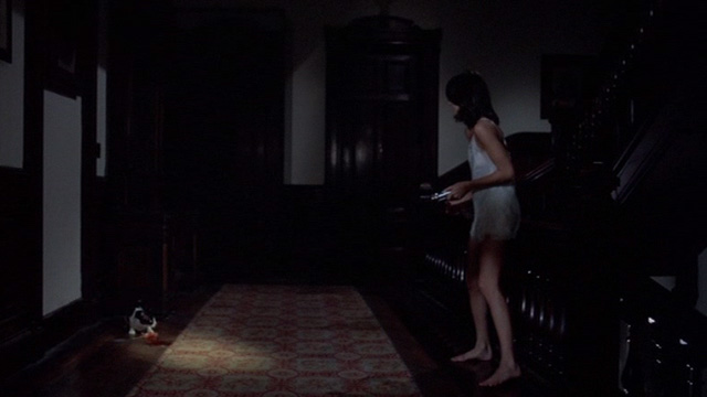 The Sentinel - Alison Parker Cristina Raines shines flashlight on tuxedo cat Jezebel eating Mortimer parakeet