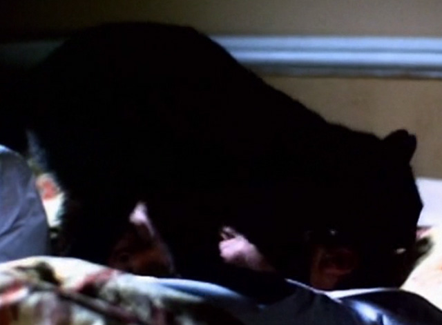 Serpent's Lair - black cat on Tom in bed