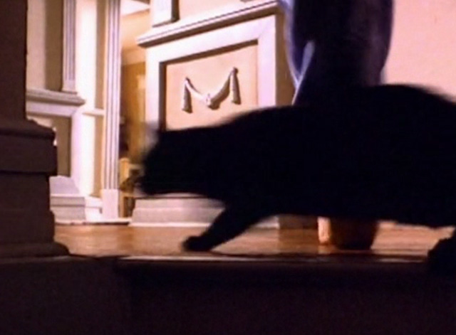 Serpent's Lair - black cat running in front of Alex to make her fall down stairs