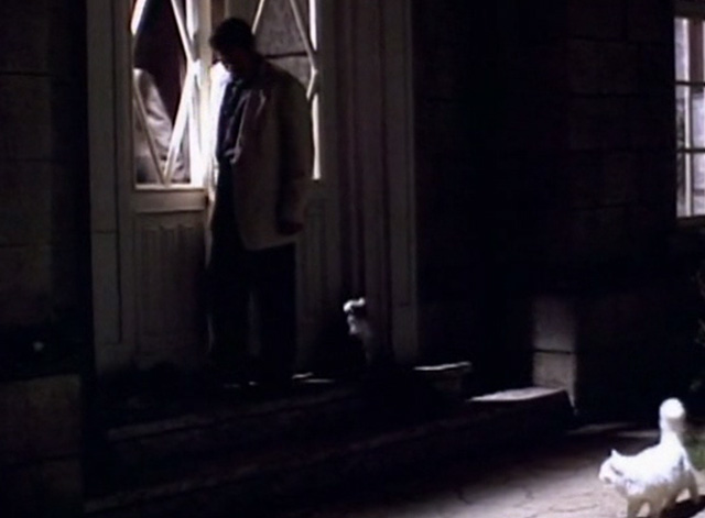 Serpent's Lair - group of cats outside door with Tom Jeff Fahey at night