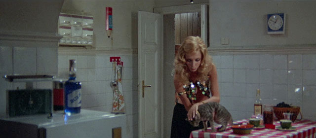 Seven Blood-Stained Orchids - Sette orchidee macchiate di rosso - Kathy Marina Malfatti petting gray tabby cat on table