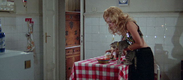 Seven Blood-Stained Orchids - Sette orchidee macchiate di rosso - Kathy Marina Malfatti pouring milk for gray tabby cat on table