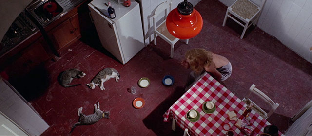 Seven Blood-Stained Orchids - Sette orchidee macchiate di rosso - Kathy Marina Malfatti looking down at gray tabby cat and two brown and white tabbies lying on kitchen floor