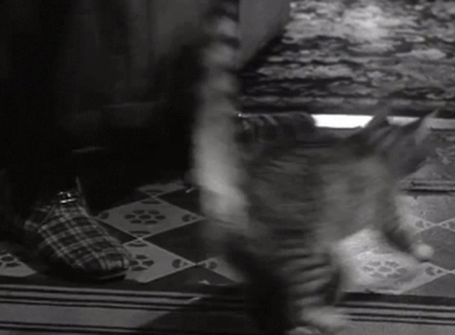 Seven Days to Noon - tabby cat running through doorway