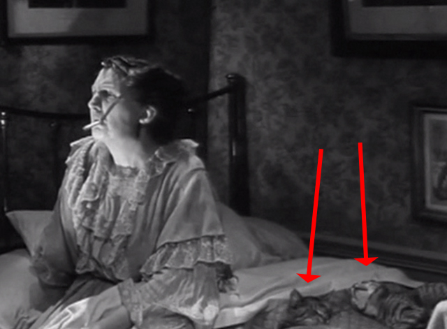 Seven Days to Noon - Mrs. Pecket Joan Hickson in bed with two tabby cats