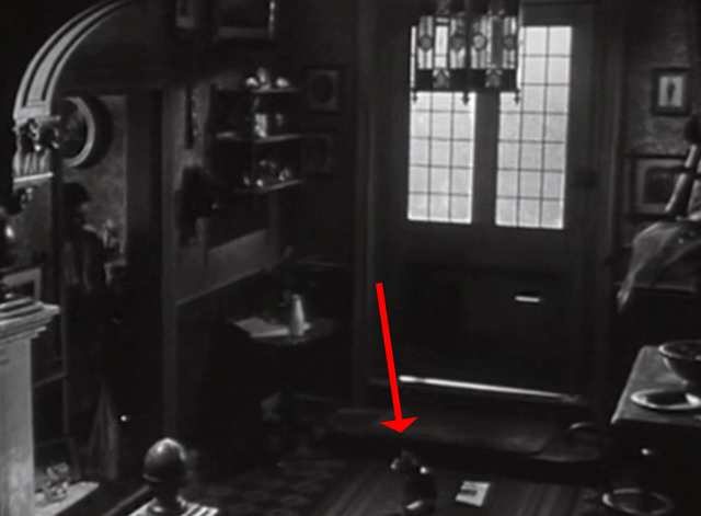 Seven Days to Noon - multicolored cat sitting in hallway