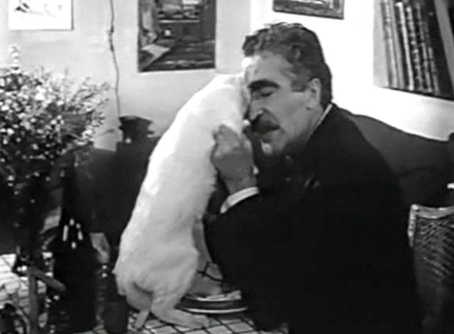 Les sept péchés capitaux - The Seven Deadly Sins - Olivier Orféo Tamburi rubbing faces with white cat Saha