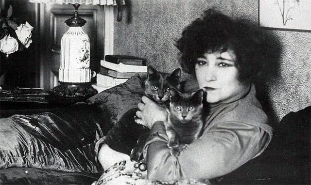 author Colette at home with her two gray cats