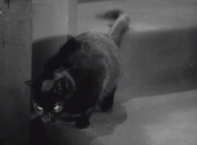 Seven Keys to Baldpate - black cat on stair landing