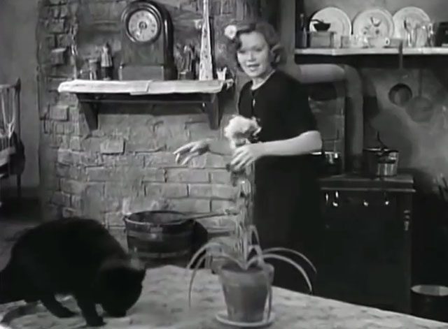 Seventh Heaven - black cat Rosette on table startling Diane Simone Simon