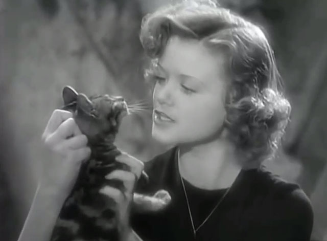 Seventh Heaven - Diane Simone Simon holding up tabby cat