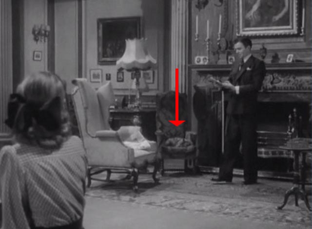 The Seventh Veil - Nicholas James Mason and Francesca Ann Todd with Maine Coon cat in chair in background