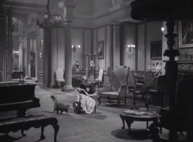 The Seventh Veil - Maine Coon cat walking towards Francesca Ann Todd in room