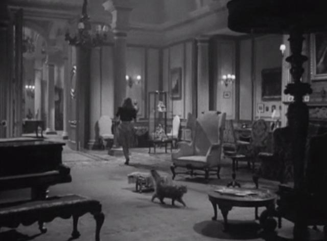 The Seventh Veil - Maine Coon cat walking across room as Francesca Ann Todd exits