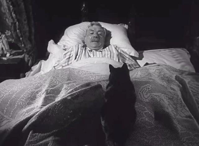 The Shadow of the Cat - tabby cat Tabitha sitting on Walter André Morell in bed