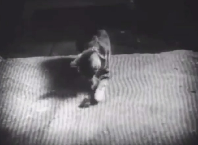 Shadows - Bengal tabby cat playing with mouse