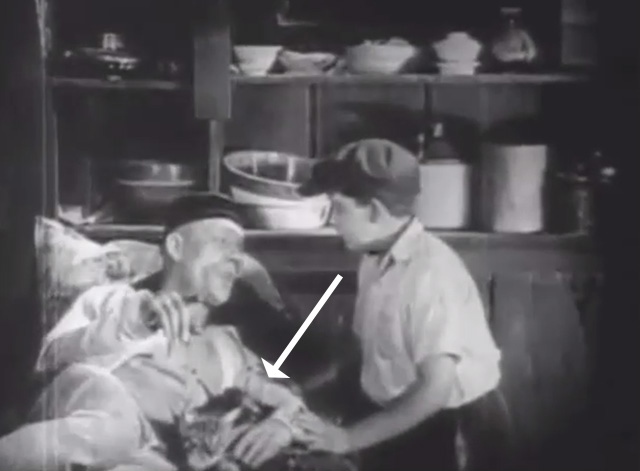 Shadows - Yen Sing Lon Chaney lying on death bed with Bengal tabby cat at his side and boy Buddy Messenger