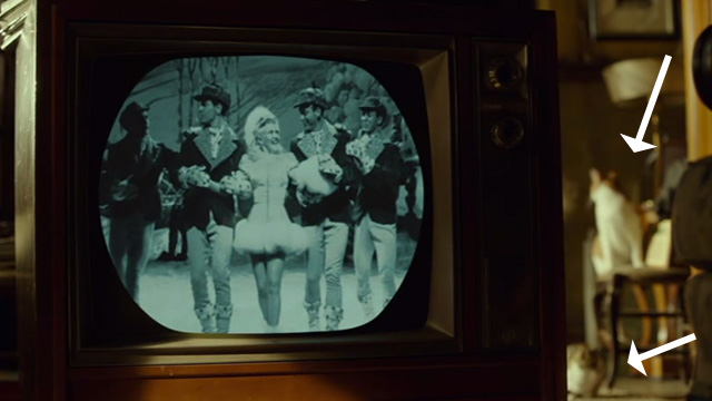 The Shape of Water - cats in background behind television set