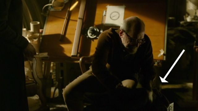 The Shape of Water - Giles Richard Jenkins moving away gray and white cat Thor