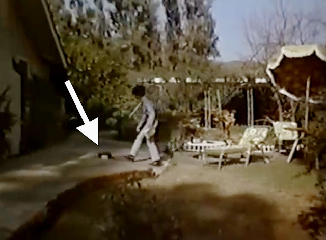 The Sheriff - black cat near dish as Janet Brenda Sykes approaches