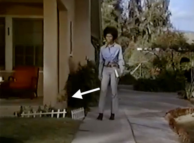 The Sheriff - ginger tabby stepping off porch behind Janet Brenda Sykes