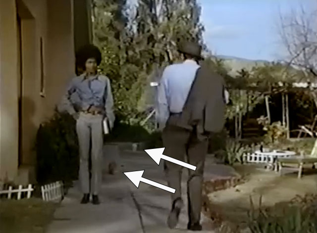 The Sheriff - ginger tabby and white cat behind Janet Brenda Sykes and Walters Ross Martin