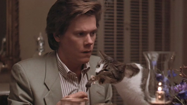 She's Having a Baby - Jake Kevin Bacon sitting at table with cat eating from fork