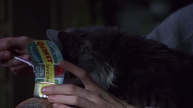 Shine - gray and white long-haired cat with face in tin of sardines