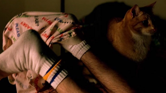 Shopgirl - orange and white tabby cat next to two pairs of legs on bed