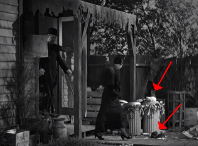 Shopworn - kittens around garbage cans