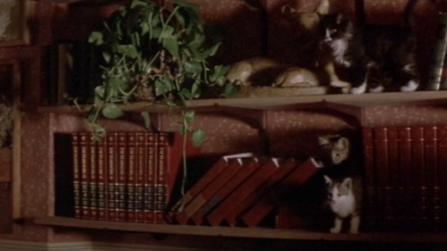 Short Circuit - cats on bookshelves