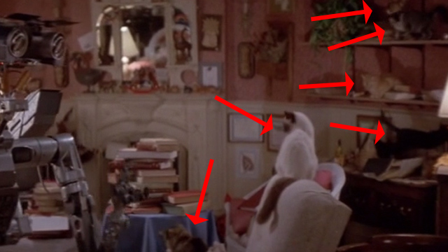 Short Circuit - numerous cats in background