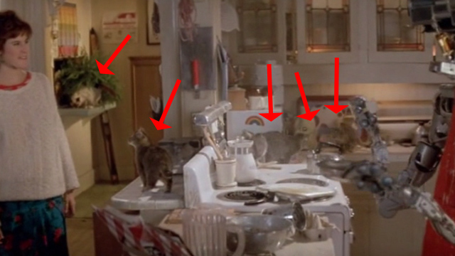 Short Circuit - Stephanie Ally Sheedy with Number 5 cooking dinner and kittens