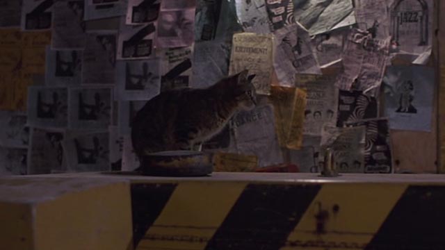 Short Circuit 2 - tabby cat jumps onto barrier